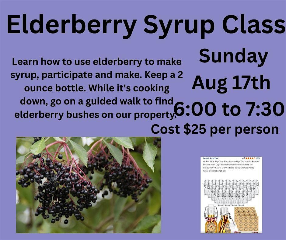 Elderberry Syrup workshop, 17 August | Event in Amanda | AllEvents