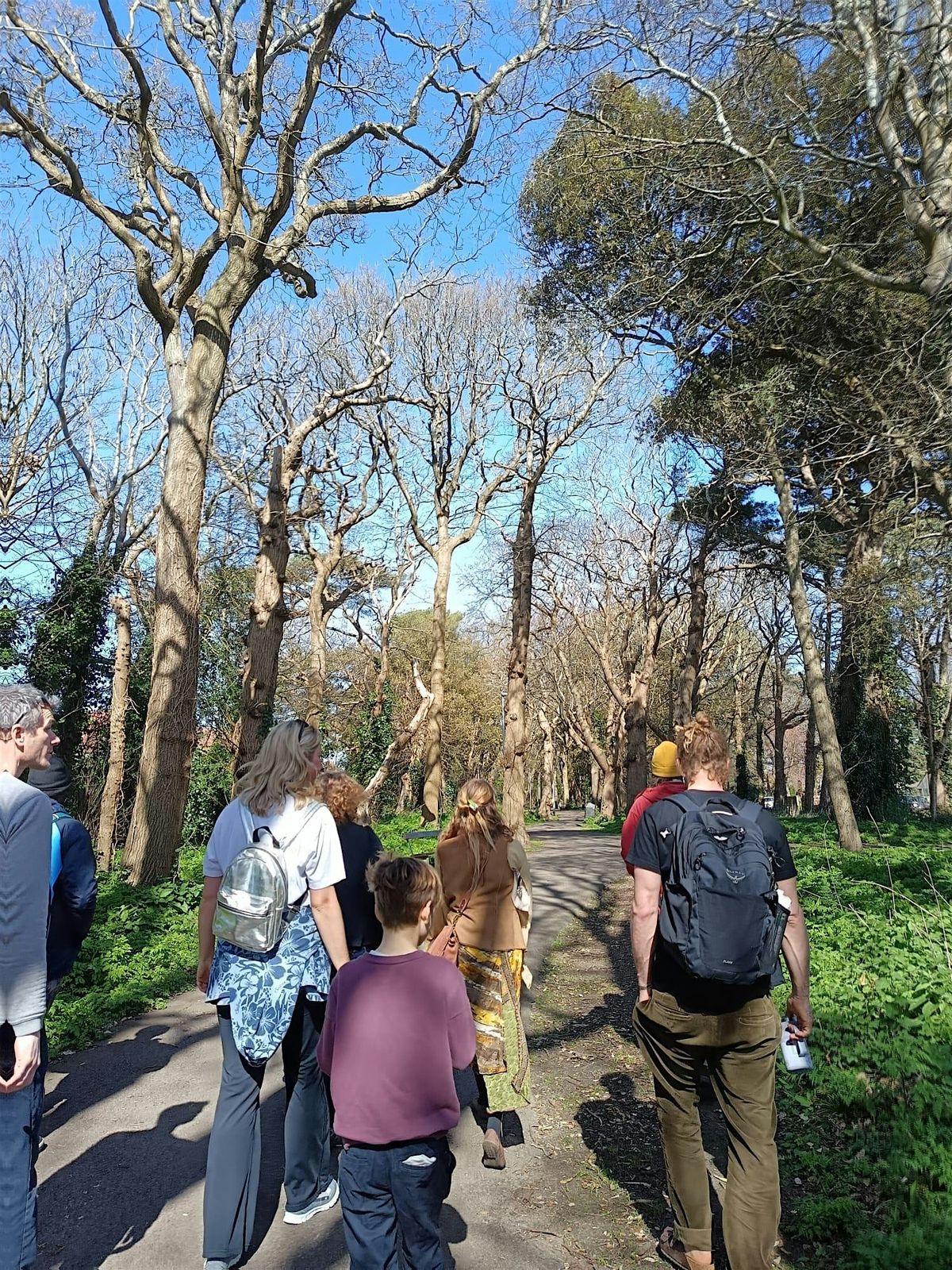 Walking with the Wild:  Foraging for Mushrooms and Herbal Medicine | Event in Brockenhurst | AllEvents