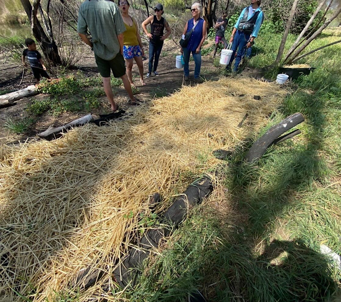 Fruit your Mushrooms with a MUSHROOM HUT, 15 June | Event in Bakersfield | AllEvents