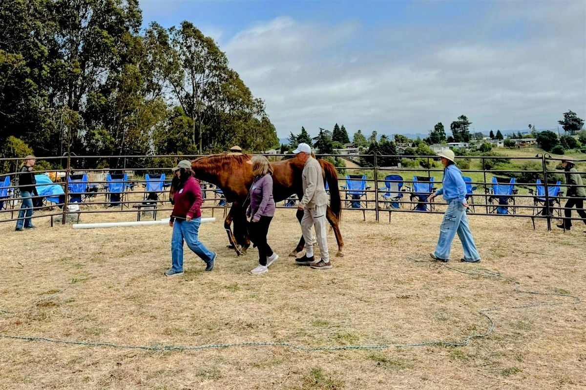 Equine-Guided Leadership and Team Growth, 6 September | Event in Watsonville | AllEvents