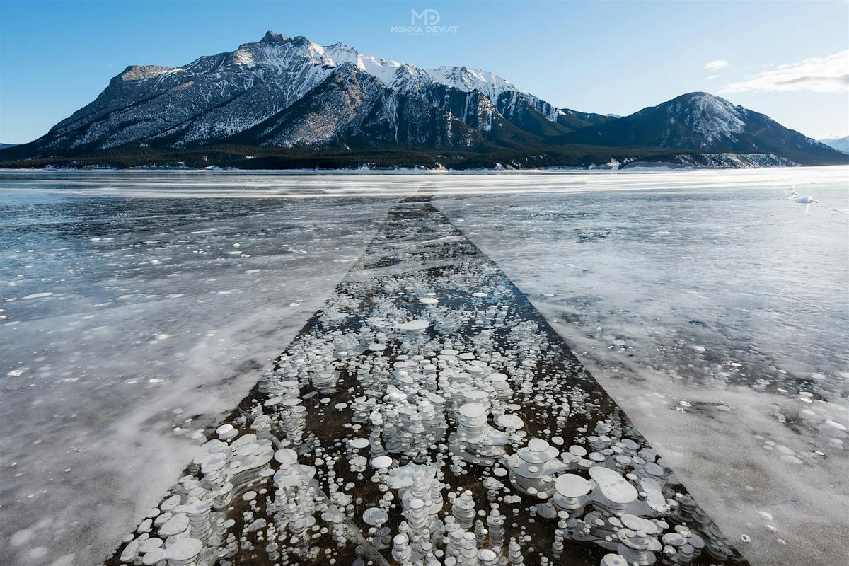 Abraham Lake Bubbles Photography Workshop 2026, 16 January | Event in Clearwater County | AllEvents