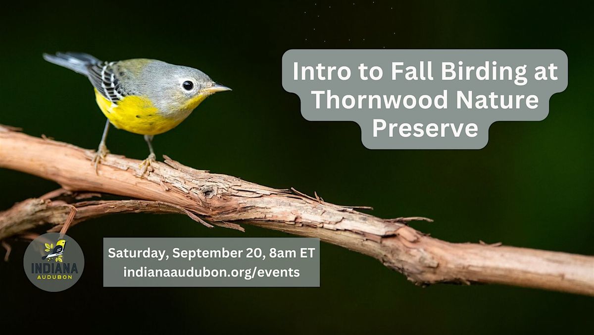 Intro to Fall Birding at Thornwood Nature Preserve, 20 September | Event in Greenfield | AllEvents