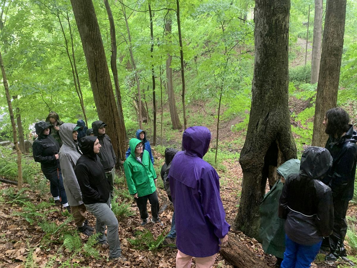 Fungi and Ecology Walk at Red Fox Ravine, 30 August | Event in Kingston | AllEvents