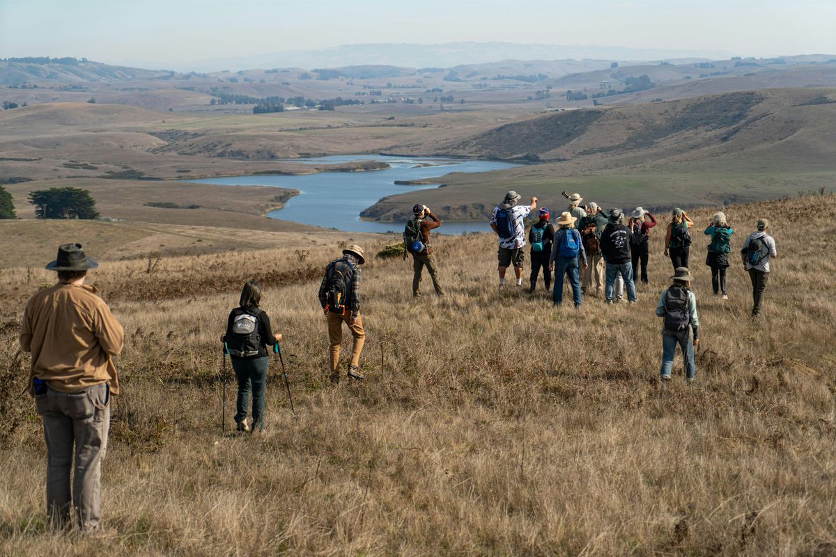 Estero Americano Coast Preserve - Fall Migration Guided Raptor Hike, 8 November | Event in Bodega Bay | AllEvents