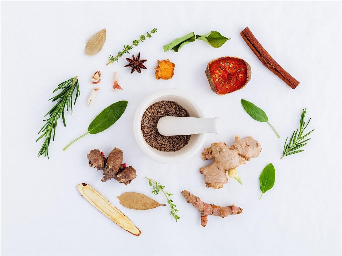 Backyard Herbs: Medicine Making (Fall), 28 September | Event in College Park | AllEvents
