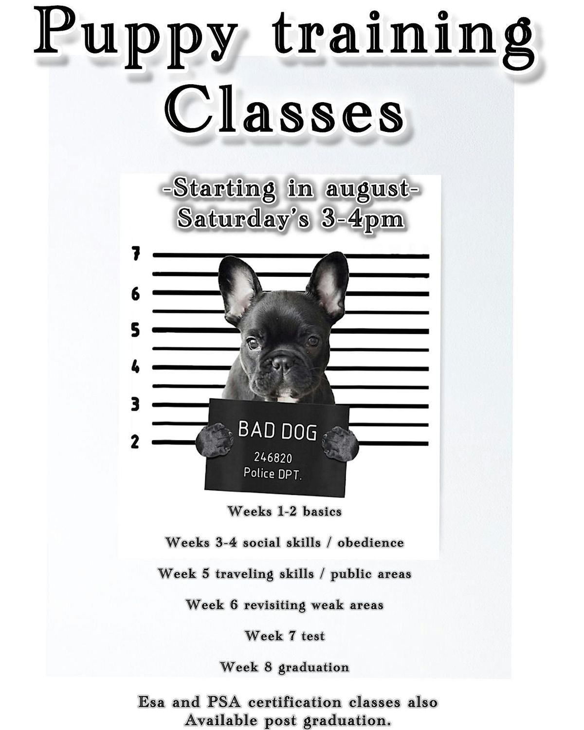 Introduction to your puppy, 2 August | Event in Meriden | AllEvents