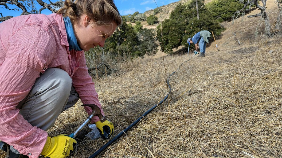 Native Pollinator Garden Planting at Ferrini Ranch, 15 October | Event in Salinas | AllEvents