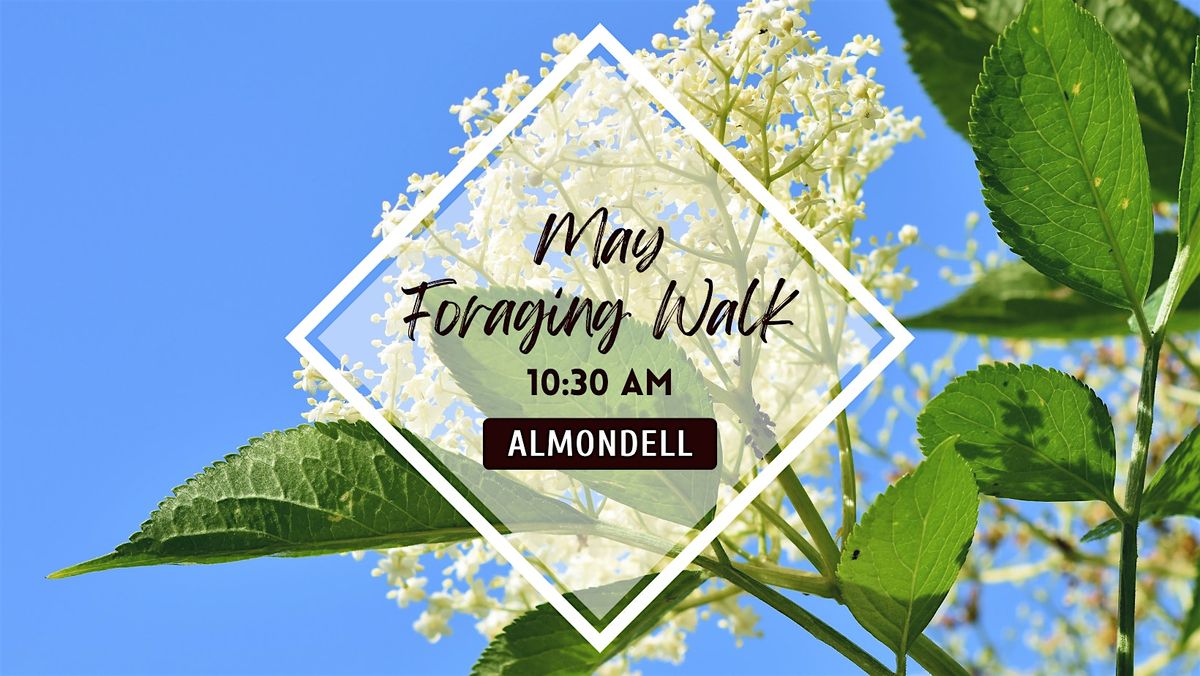 Spring Foraging Walk - Wild Flowers, Herbs and Greens, 24 May | Event in Broxburn | AllEvents