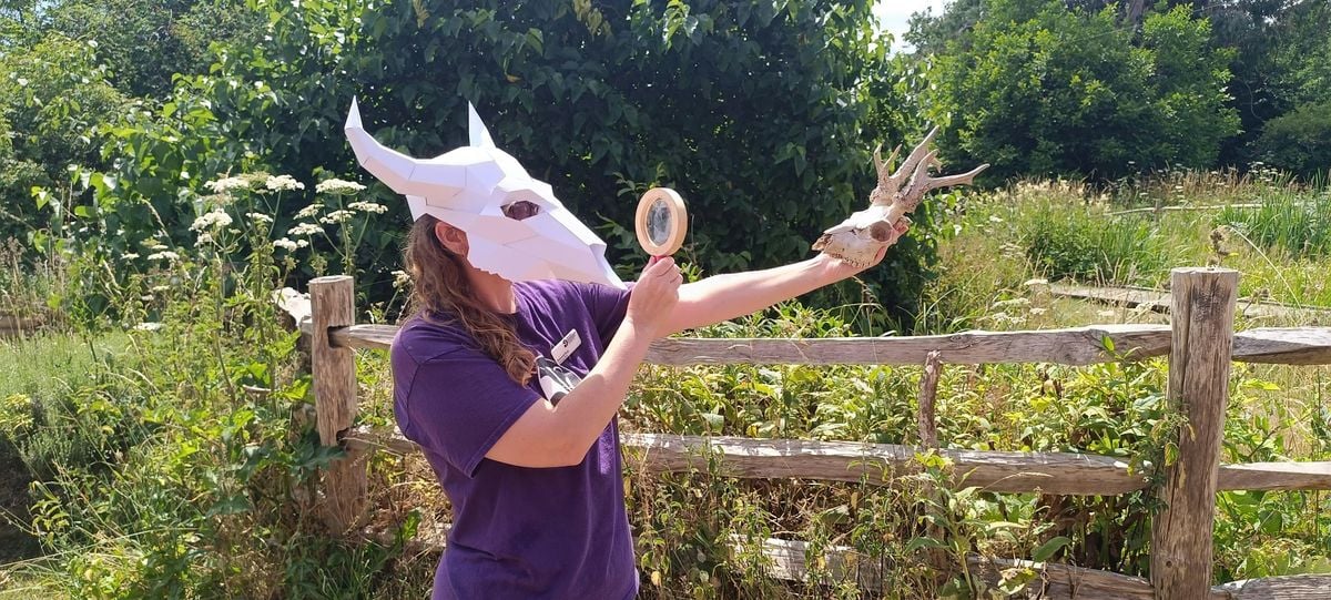 Family Event 'Bone-anza' - Woolley Firs, Maidenhead, Monday 27 October, 27 October | Event in Maidenhead | AllEvents