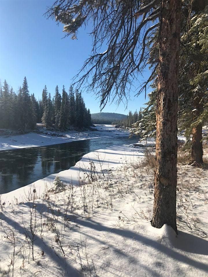 Beginner Guided Snowshoe - Coal Camp Road (NW of Sundre) 2BS, 25 January | Event in Sundre | AllEvents