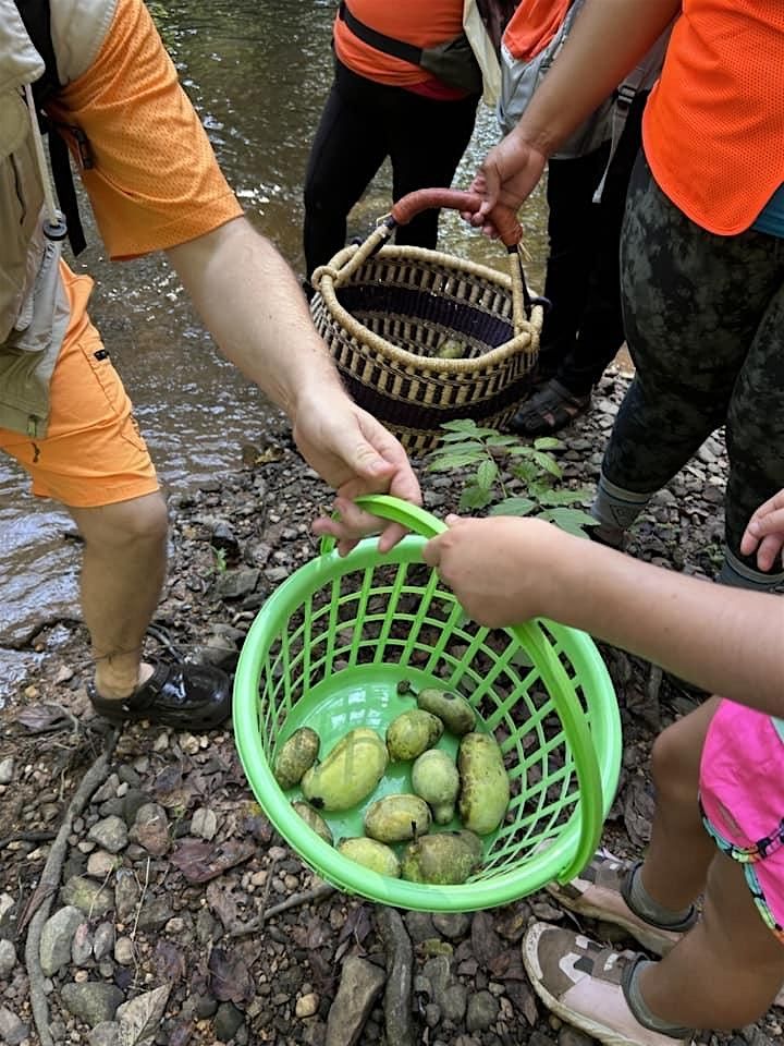 Fall 2025 Paw Paw Forage (Week 2 Saturday), 13 September | Event in Durham | AllEvents