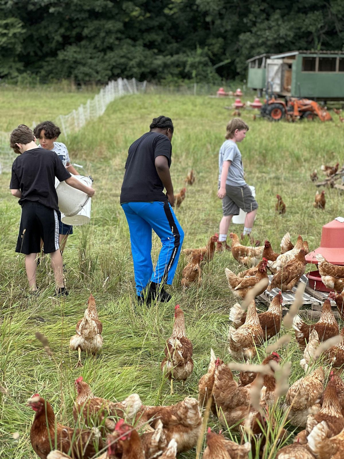 Farming with BCYF, 12 August | Event in Lincoln | AllEvents