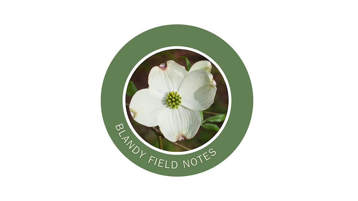 Blandy Field Notes:  Flowering Trees, 8 May | Event in Boyce | AllEvents