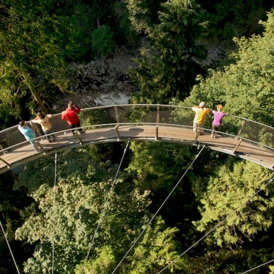 Grouse Mountain & Capilano Suspension Bridge Park: Guided Tour | Event in North Vancouver | AllEvents