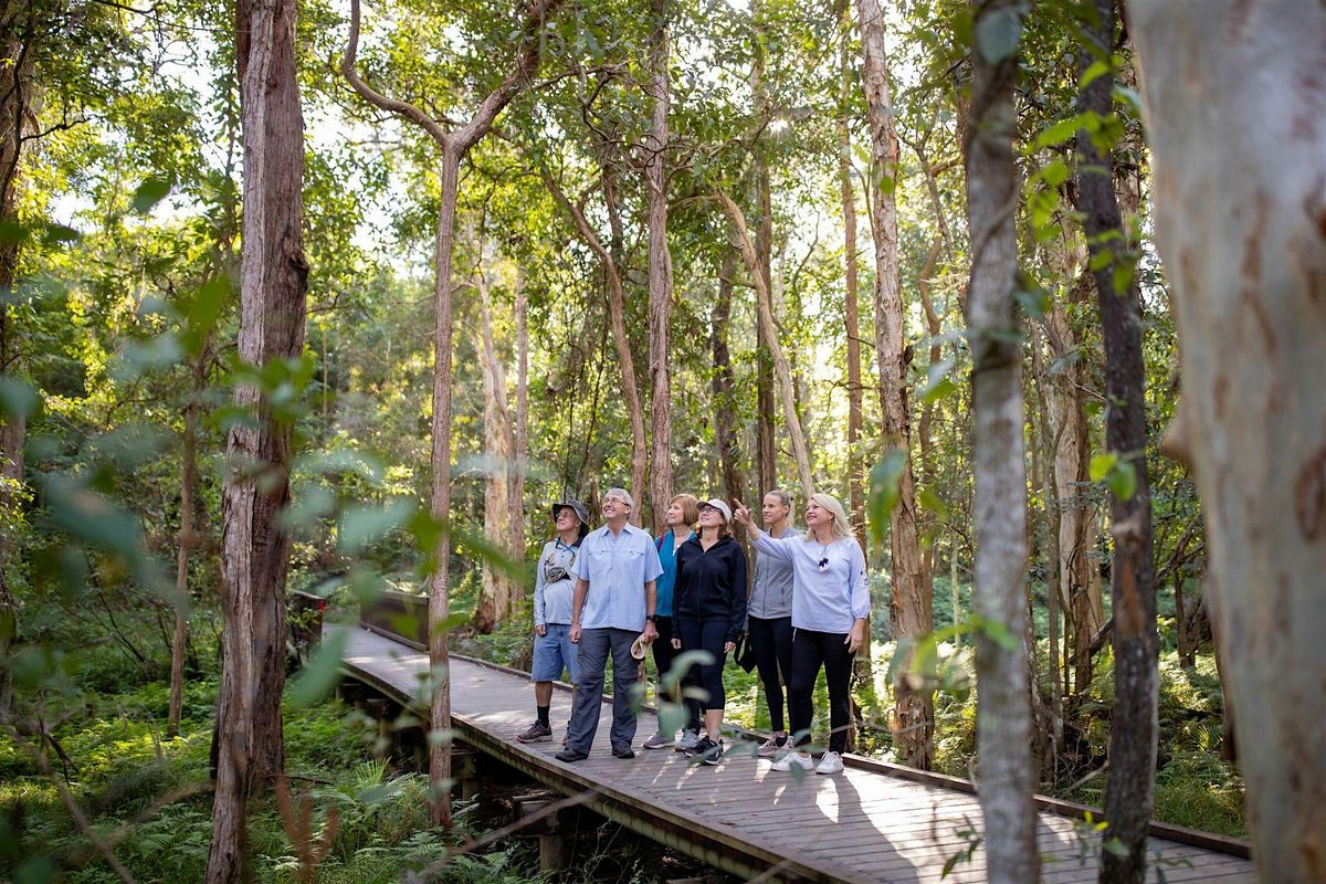 Walk and learn with Ranger Stacey at IndigiScapes, 13 October | Event in Capalaba | AllEvents