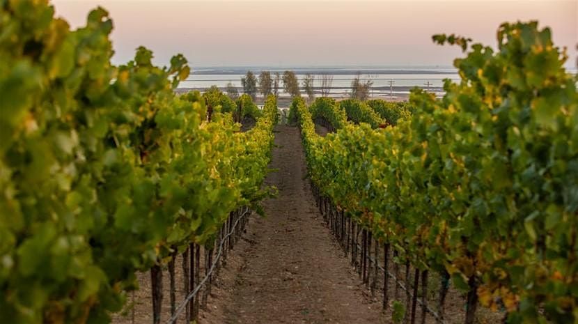 Mitchell's Steakhouse: Rombauer Wine Dinner, 18 September | Event in Columbus | AllEvents
