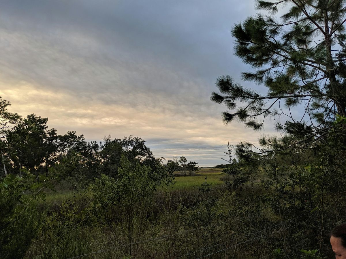 Fish Island Walking Tour, 20 October | Event in St. Augustine | AllEvents