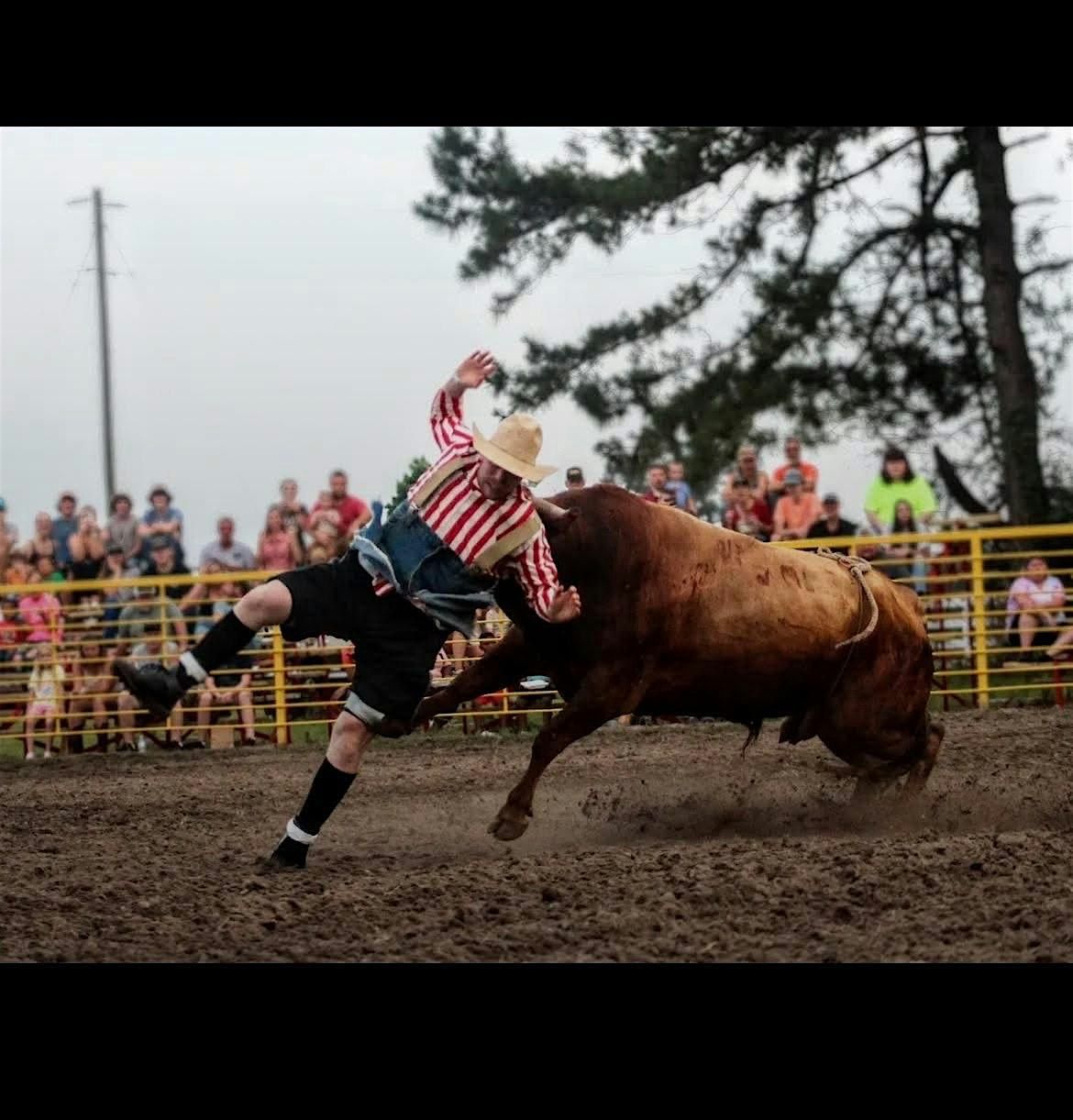 Hemingway Sc Rodeo Down South Rodeo, 10405 County Line Rd, Hemingway, 17 October to 18 ...