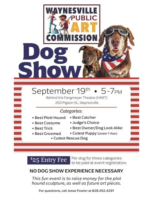 Tm6mkghwk Wjm Rescue Dog Championship 2022