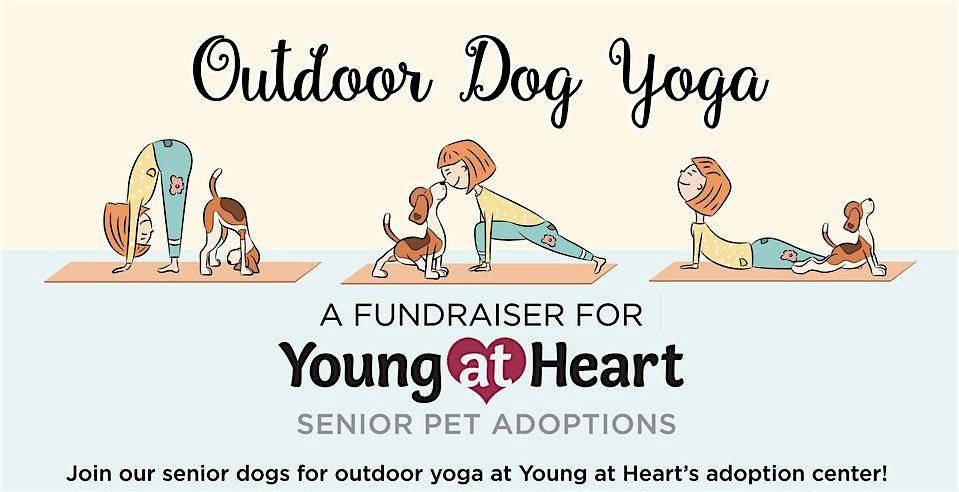 Outdoor Dog Yoga At Young At Heart, 7 June | Event in Woodstock | AllEvents