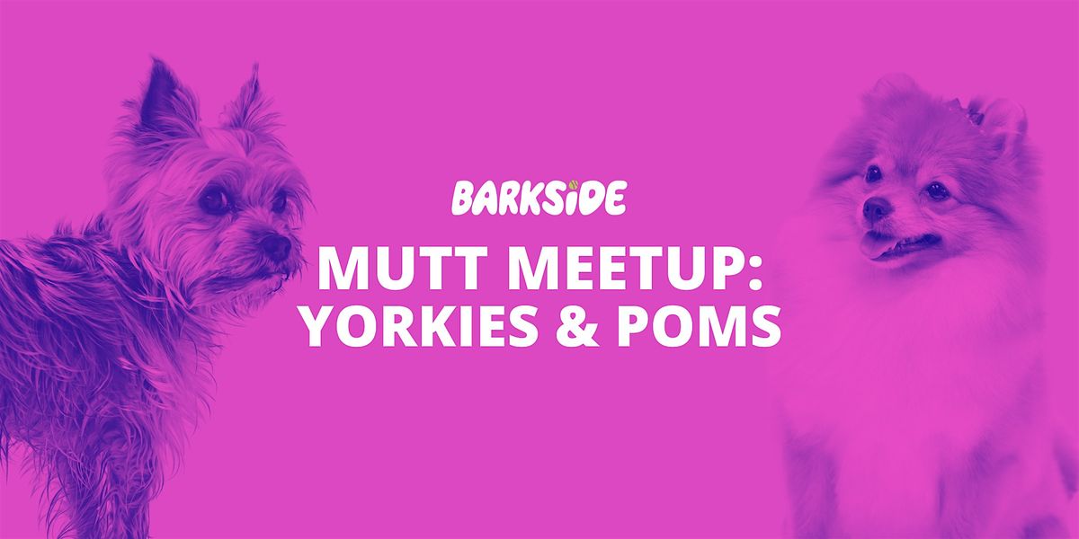 Mutt Meetup: Yorkies & Pomeranians, 24 August | Event in Detroit | AllEvents