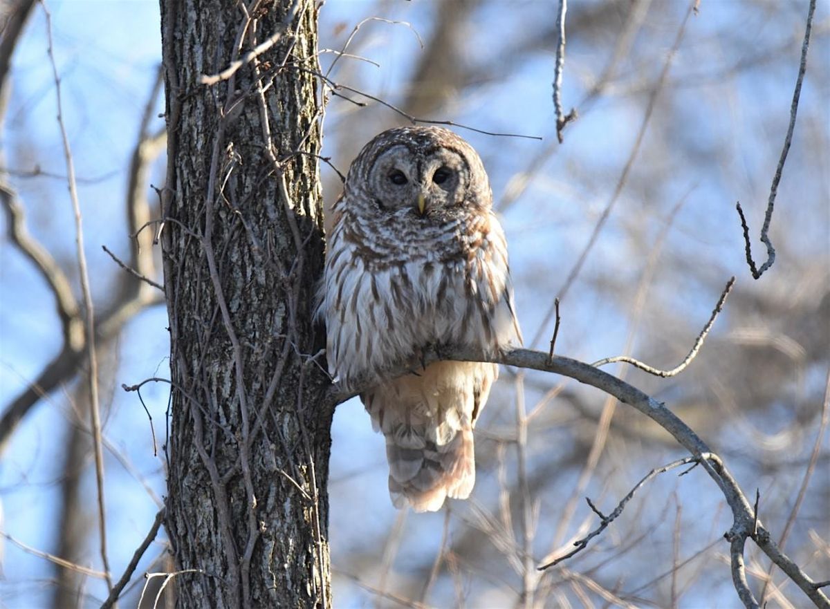 Owl Prowl, 14 February | Event in Oglesby | AllEvents