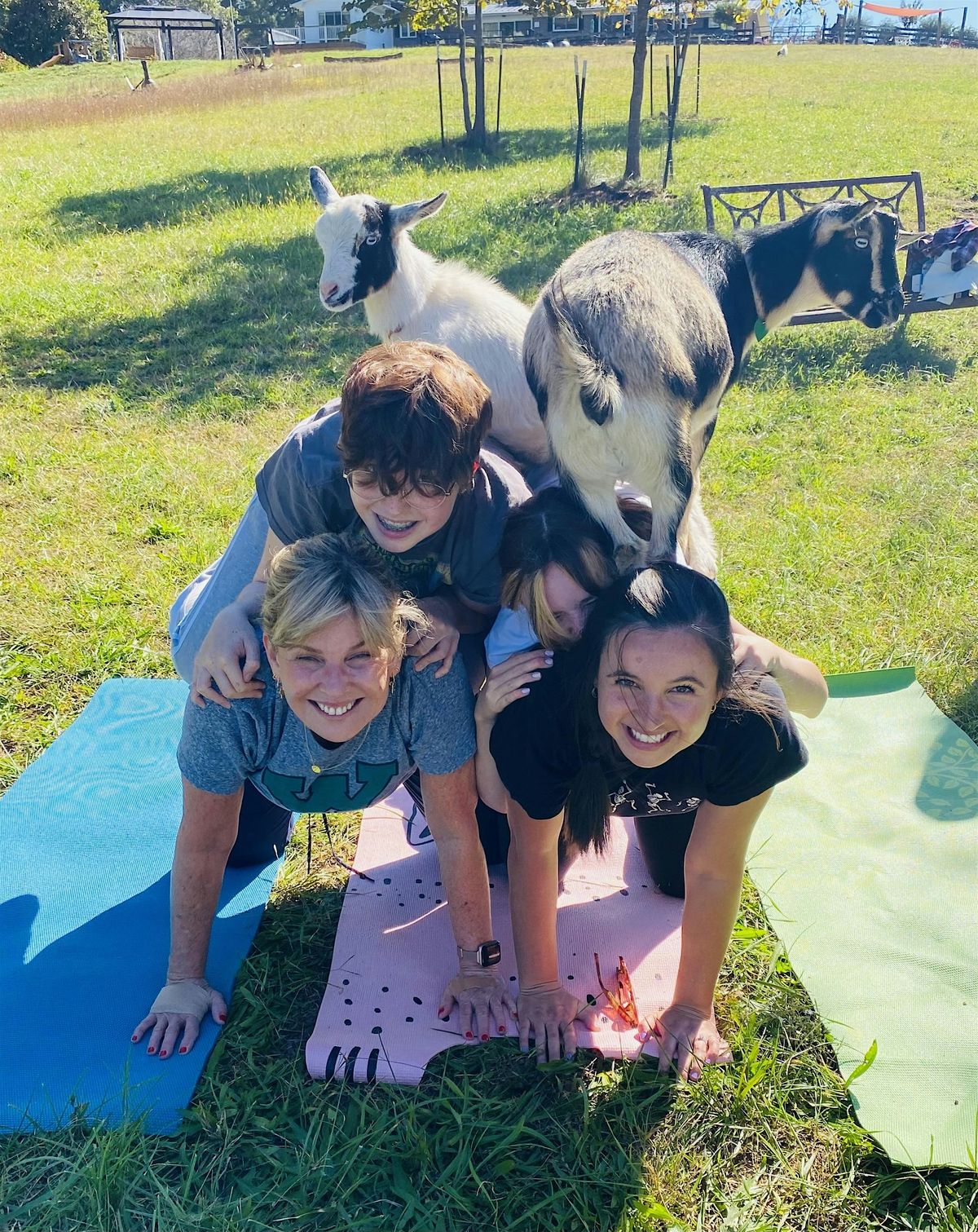 Goat Yoga, 25 May | Event in Nokesville | AllEvents
