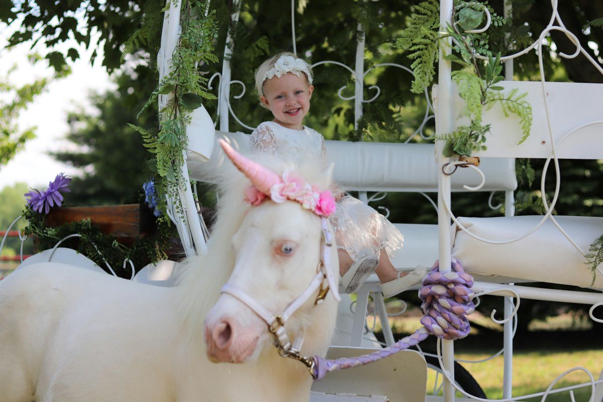 Unicorn Day At The Ranch (Sat September 20), 20 September | Event in Madison | AllEvents