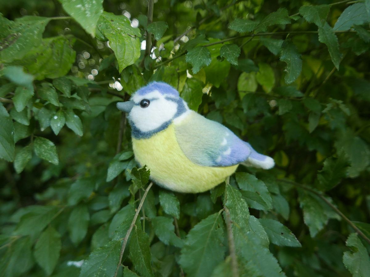 Make a Bird Feeder - Family event at Swanwick Lakes 10am-11am, 24 January | Event in Fareham | AllEvents