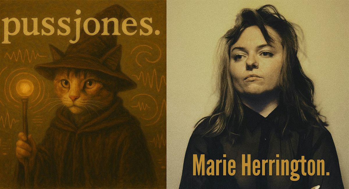 Calm Waves - Marie Herrington live in concert featuring pussjones, 30 August | Event in Baltimore | AllEvents