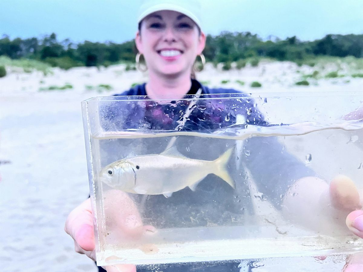 Family Fish Survey event along Sandy Hook Bay, 23 August | Event in Atlantic Highlands | AllEvents
