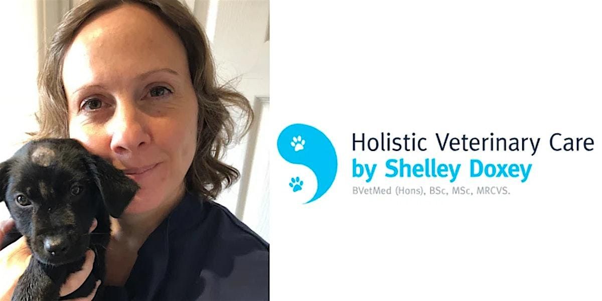 Titre Test Day with Shelley Doxey BVetMed (Hons), MSc, BSc, MRCVS, 12 October | Event in Totton | AllEvents