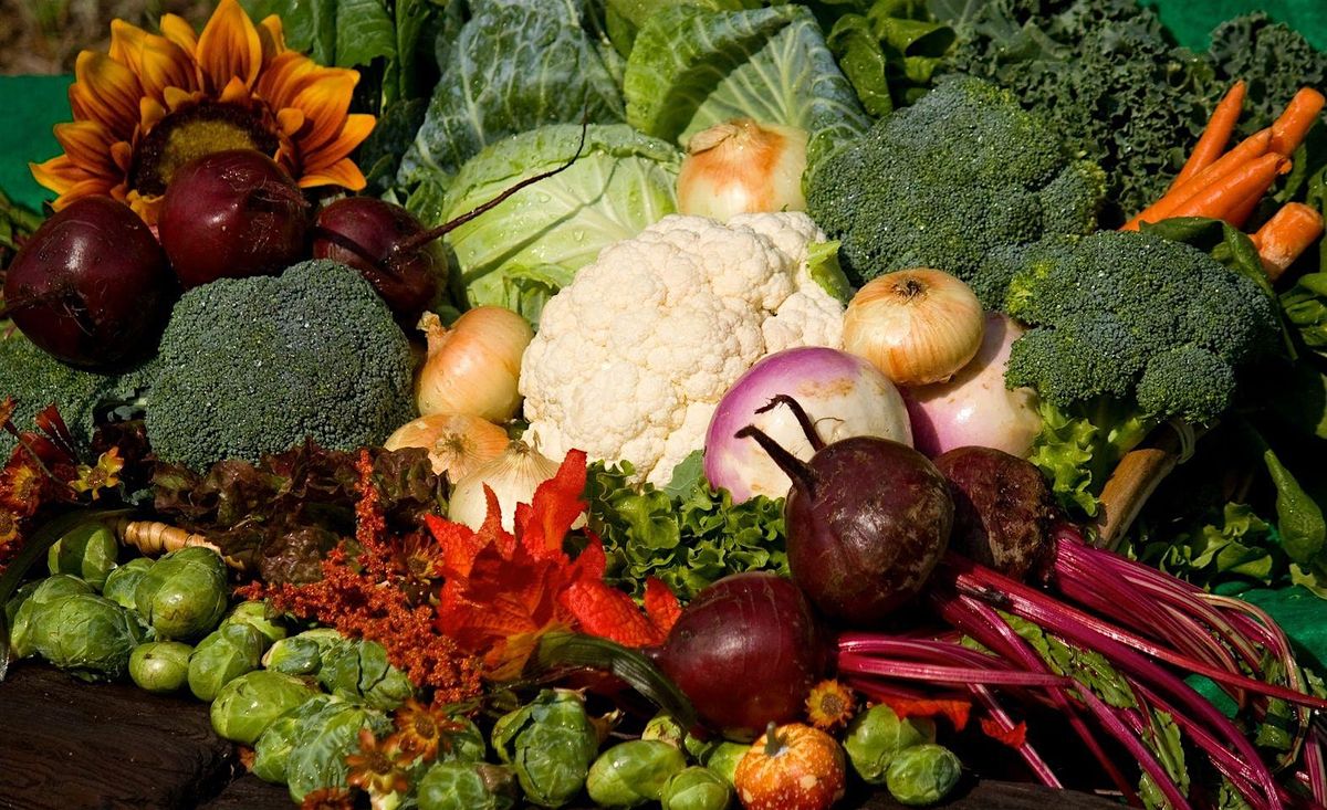 Vegetable Gardening with a Master Gardener (Garden Tour/Class), 22 December | Event in Largo | AllEvents
