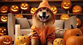 Pawty In The Patch, 11 October | Event in Brecksville | AllEvents