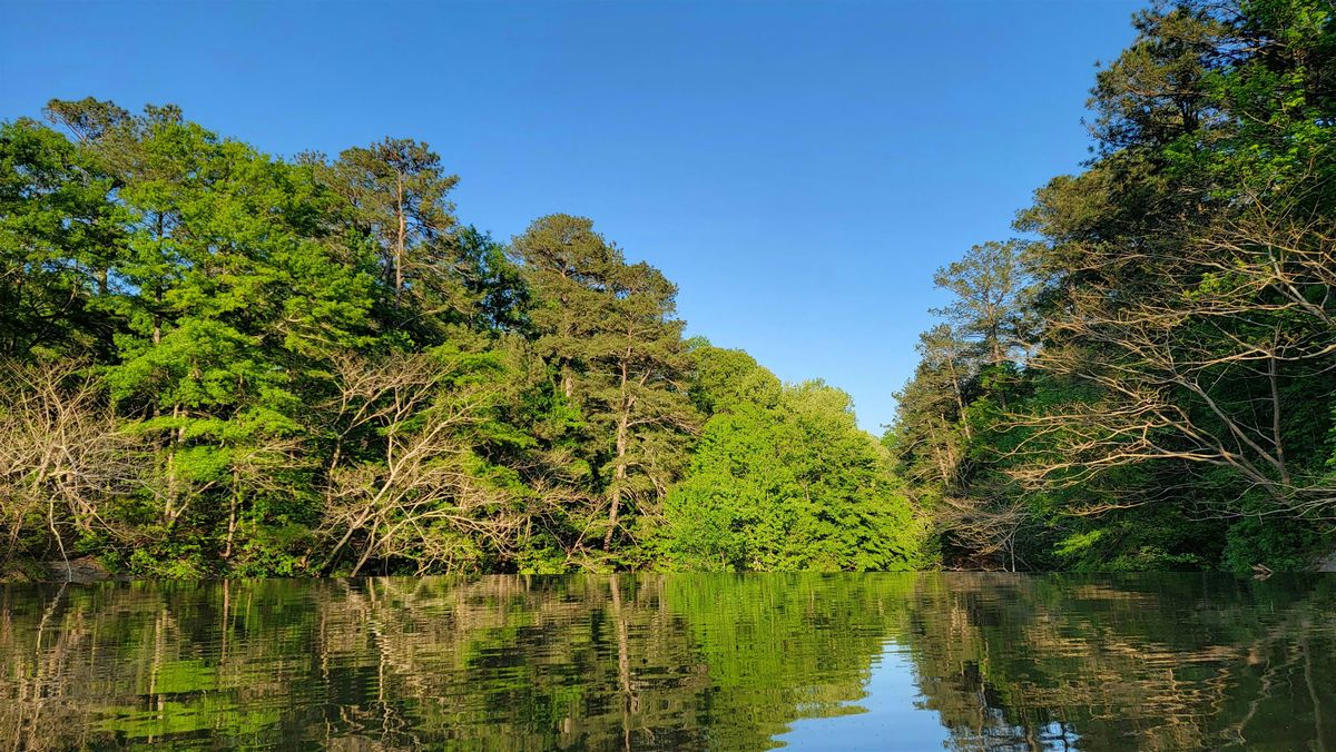 Edible And Multi-Use Plant Paddle, 21 June | Event in Rutledge | AllEvents