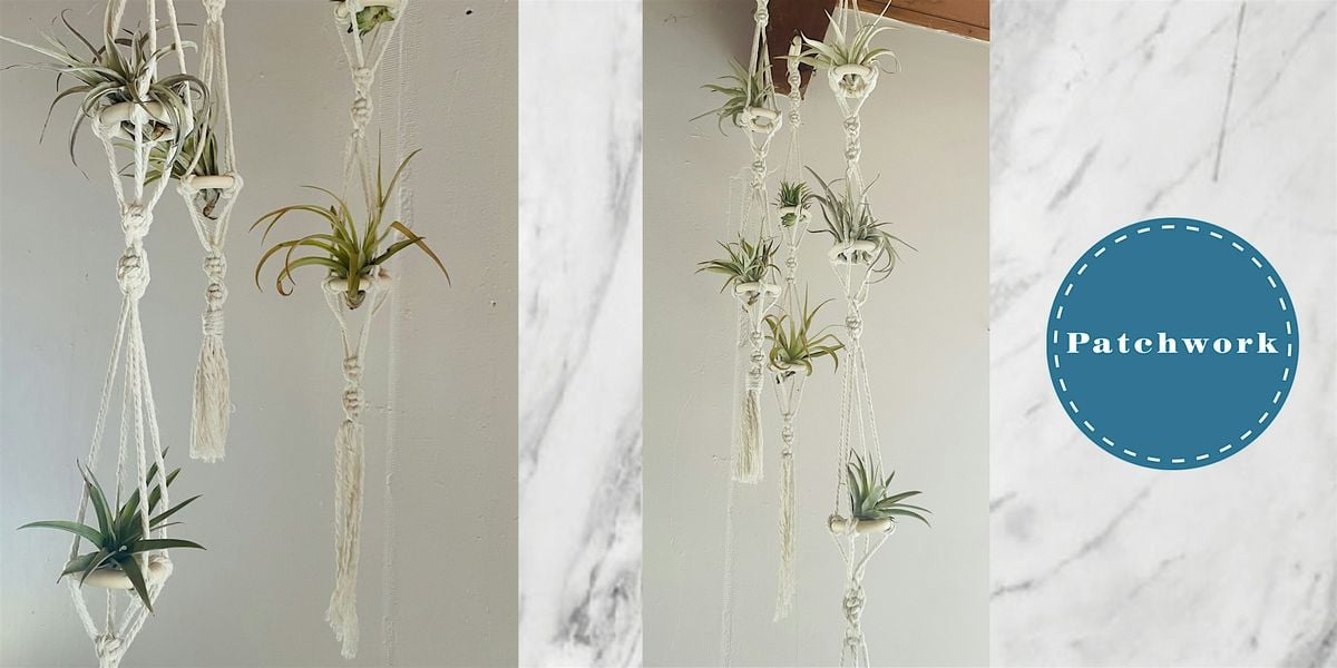 Patchwork Presents Macrame Air Plant  Hanger Craft Workshop, 21 August | Event in San Diego | AllEvents
