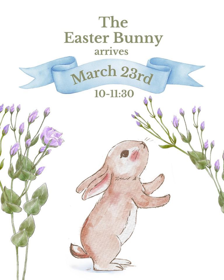 Easter Bunny at Cinnamon Bears, 610 S Kelly Ave Suite L , Edmond, OK, United States, Oklahoma