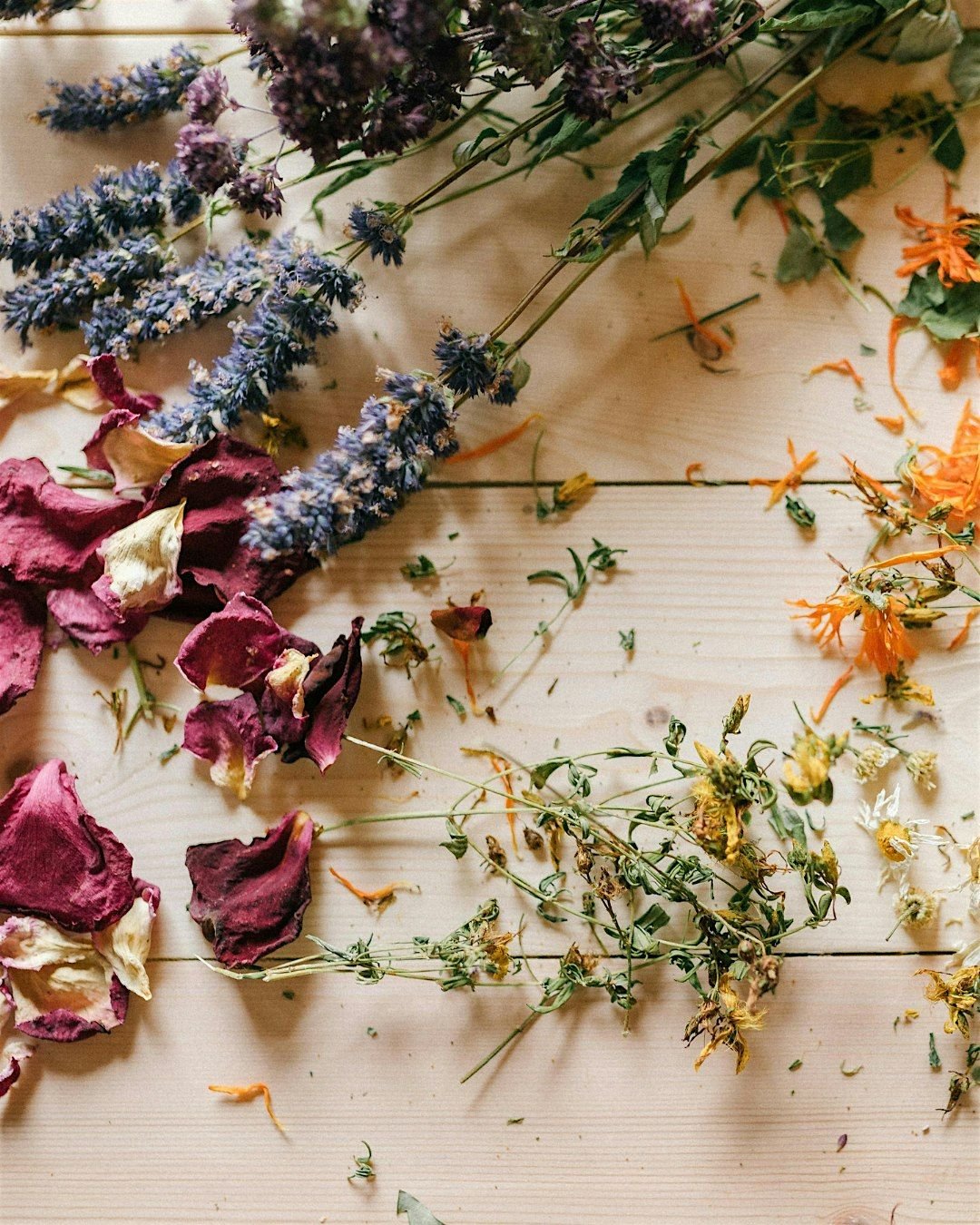 Make Your Own Herbal Bug Spray Workshop, 21 July | Event in Dallas | AllEvents