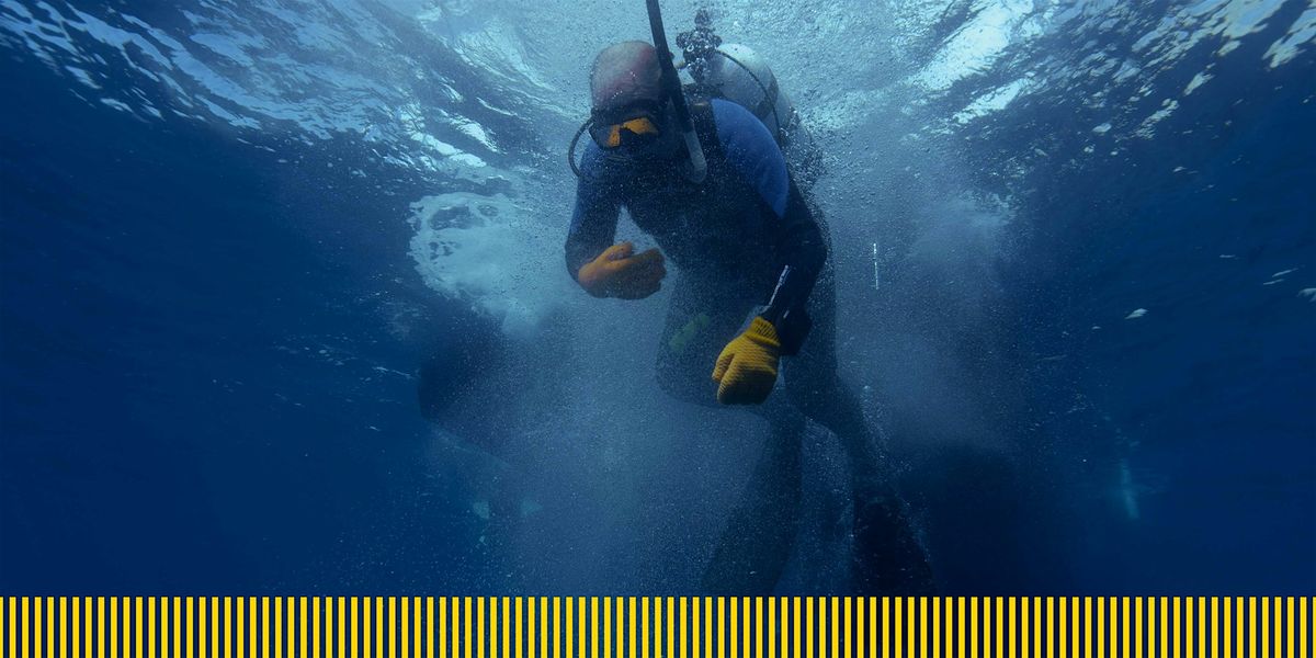 The last dive, 11 October | Event in Napoli | AllEvents