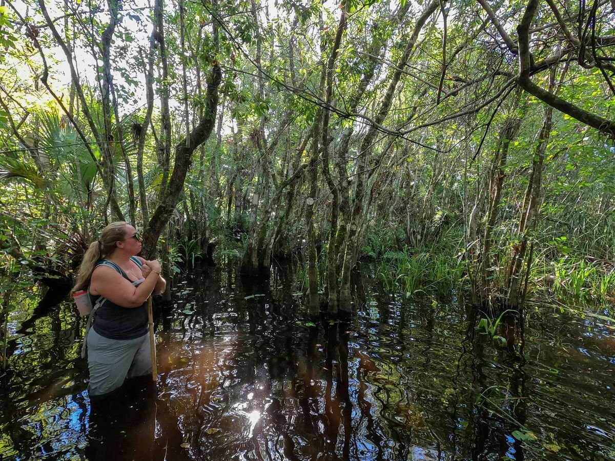 Wet Walk: Advanced, 20 August | Event in Immokalee | AllEvents