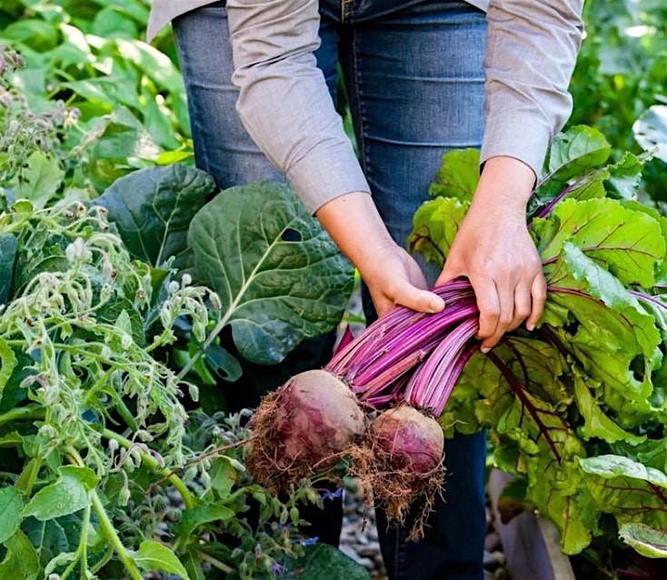 FREE Gardening and Cooking Class Series | Event in Berkeley | AllEvents