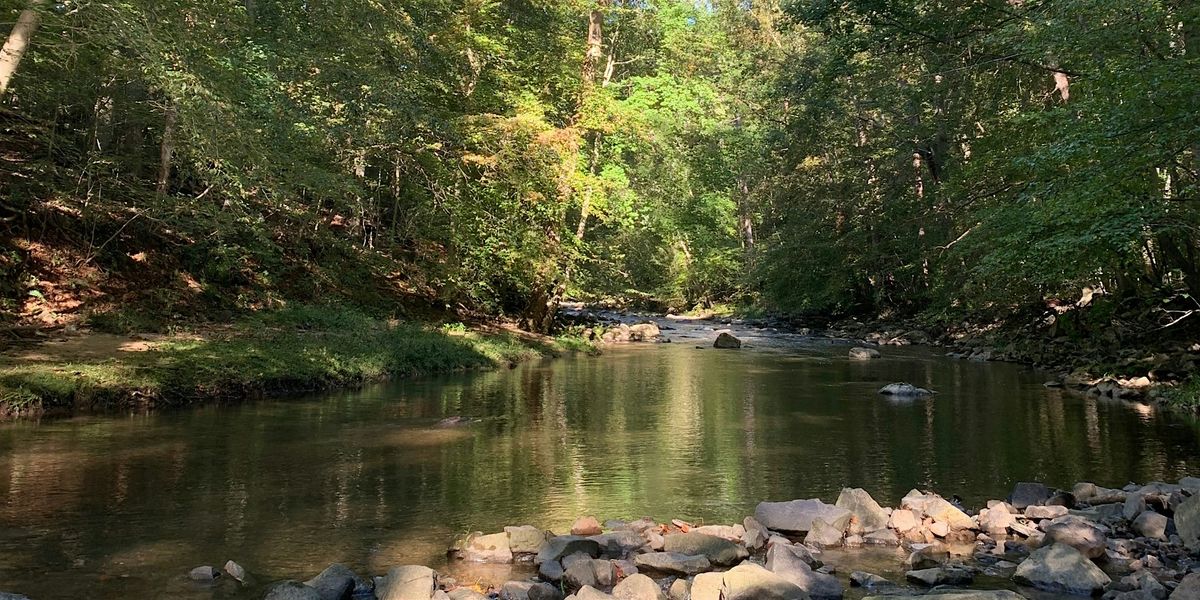 Wednesday Walk & Talk - June 11 - A Mindful Walk in Nature | Event in Kingsville | AllEvents