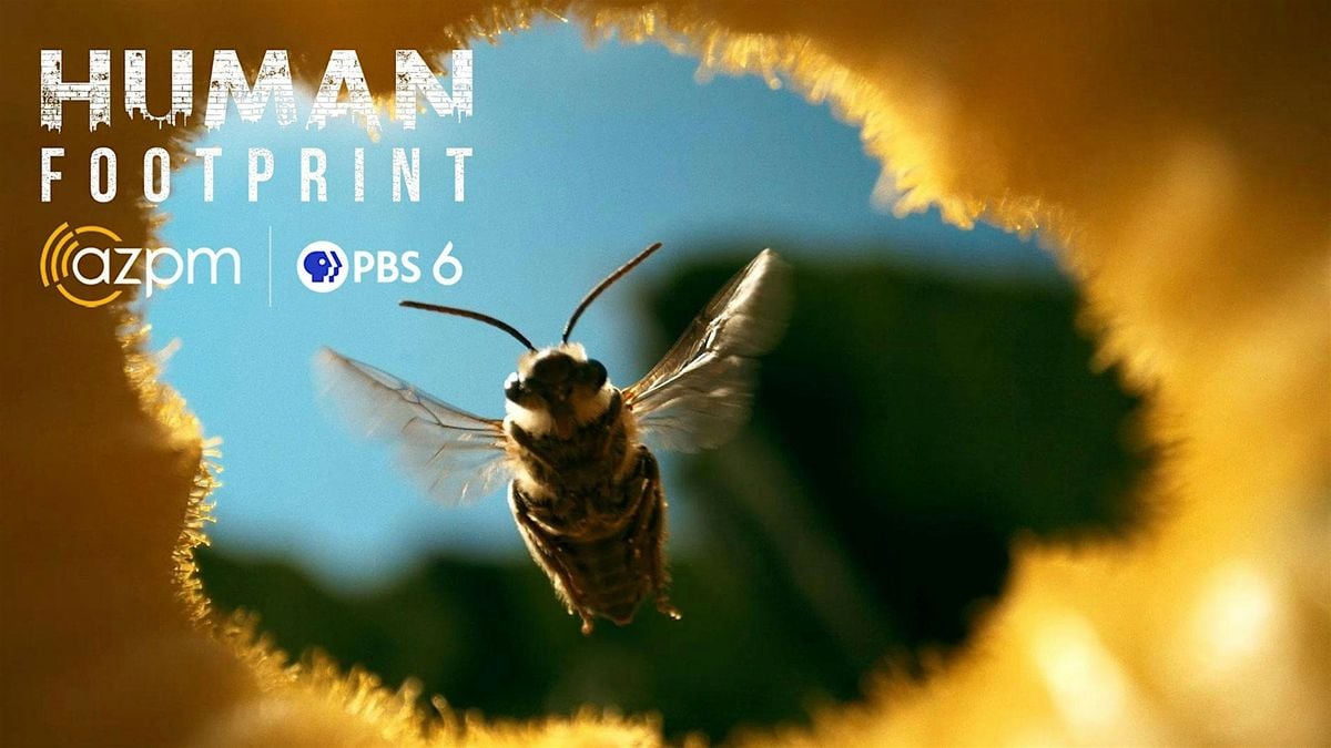 Join AZPM for a special evening all about bees!, 11 July | Event in Tucson | AllEvents
