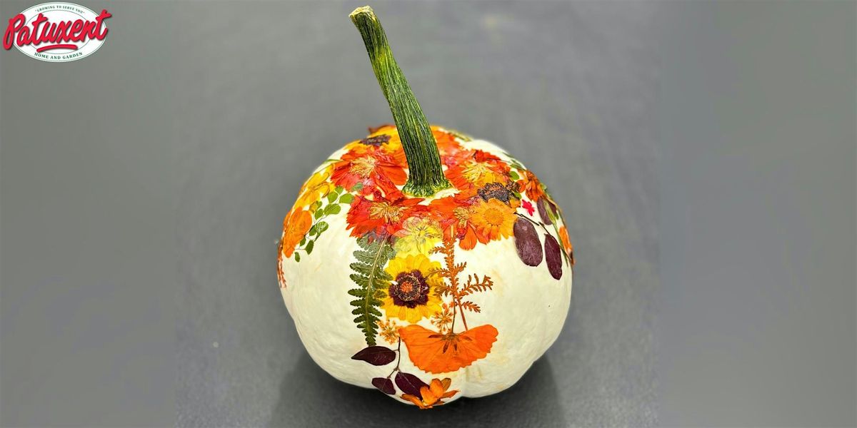 Pumpkins & Petals Design Workshop, 11 October | Event in Bowie | AllEvents