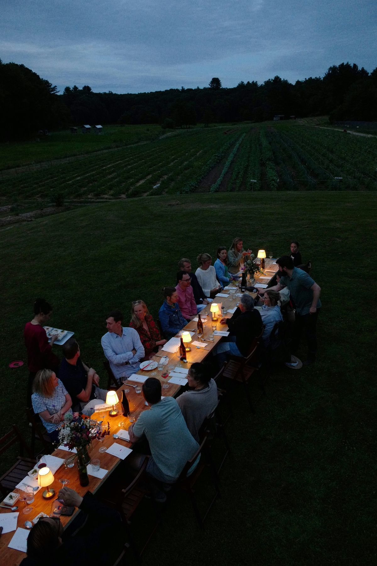 Cicada at the farm  Ep. 2: Ocean at the farm, 25 July | Event in Carlisle | AllEvents