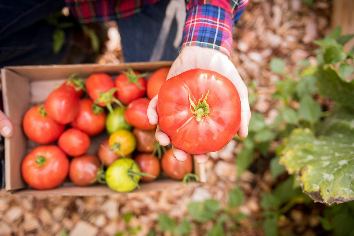FREE: Planting Your Summer Vegetable Garden, 10 May | Event in Portland | AllEvents