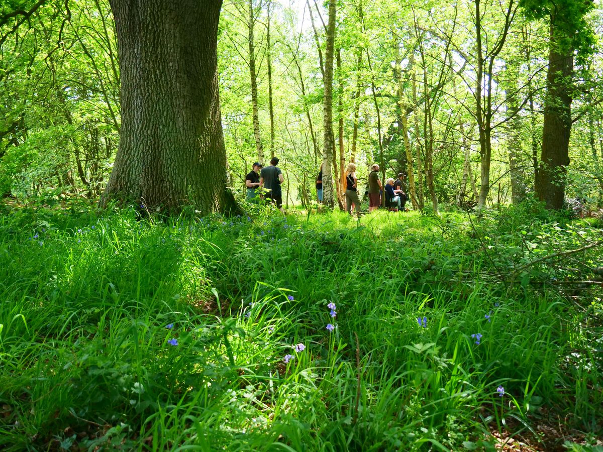 NWT Sweet Briar Marshes: Explore with the warden (14 January), 14 January | Event in Norwich | AllEvents