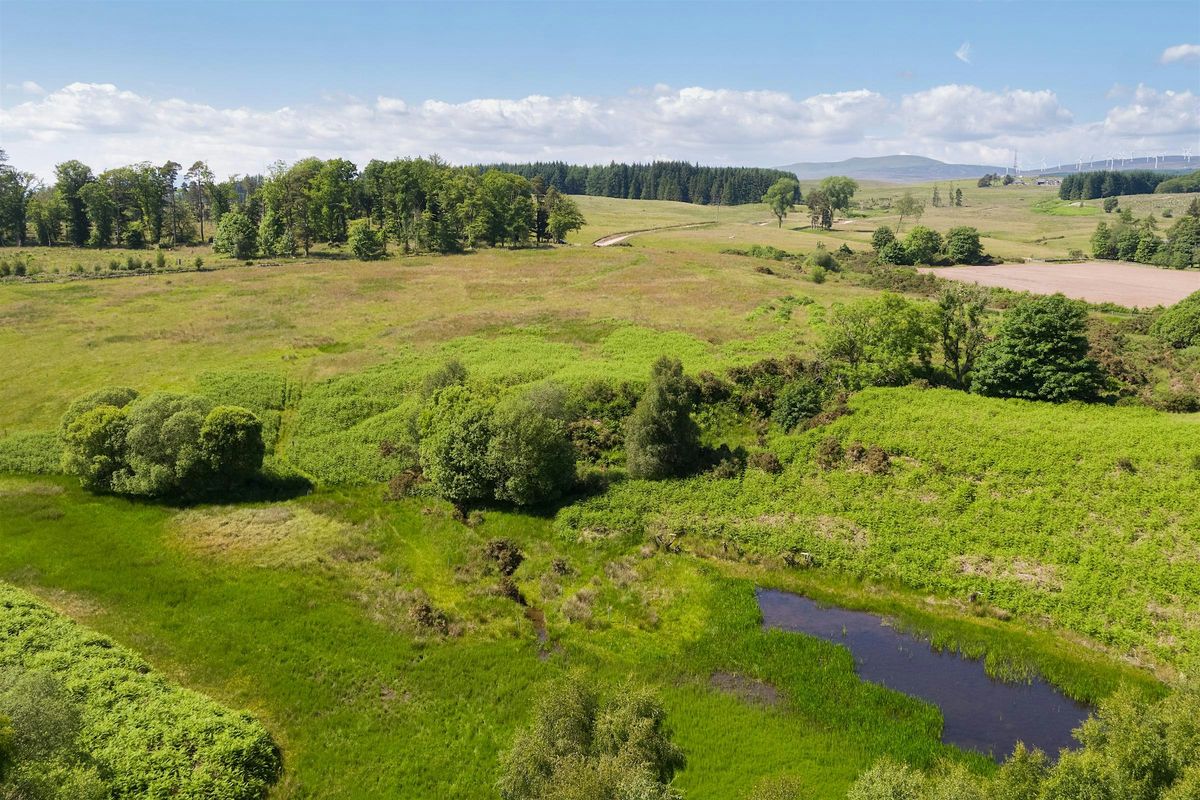 Learning Day: Wildlife Highways - Connecting Habitats, 3 November | Event in Doune | AllEvents