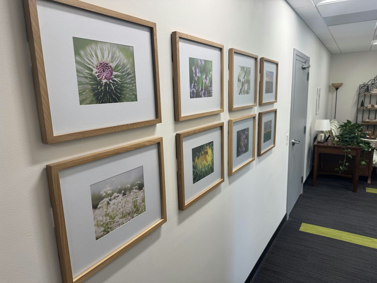 You’re Invited: Open House at Integrative Energetics!, 2 August | Event in Chesterland | AllEvents