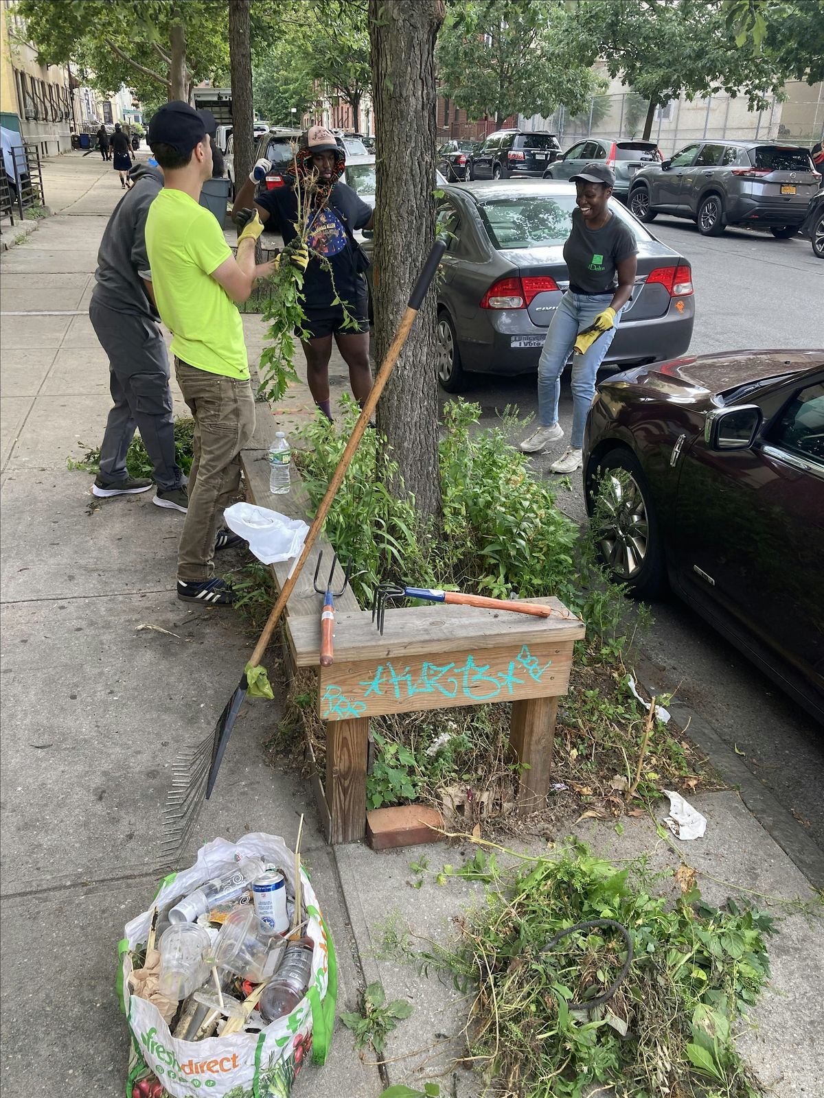 Street Tree Care w/ Brooklyn College, 7 October | Event in Brooklyn | AllEvents